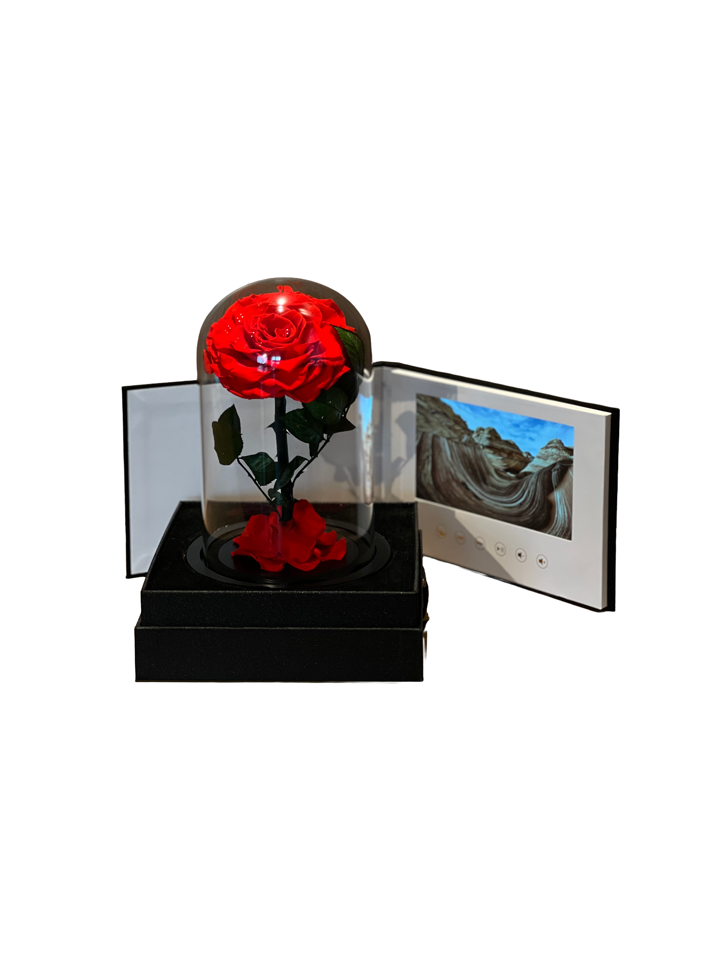 Beauty and the Beast + Video Greeting Card